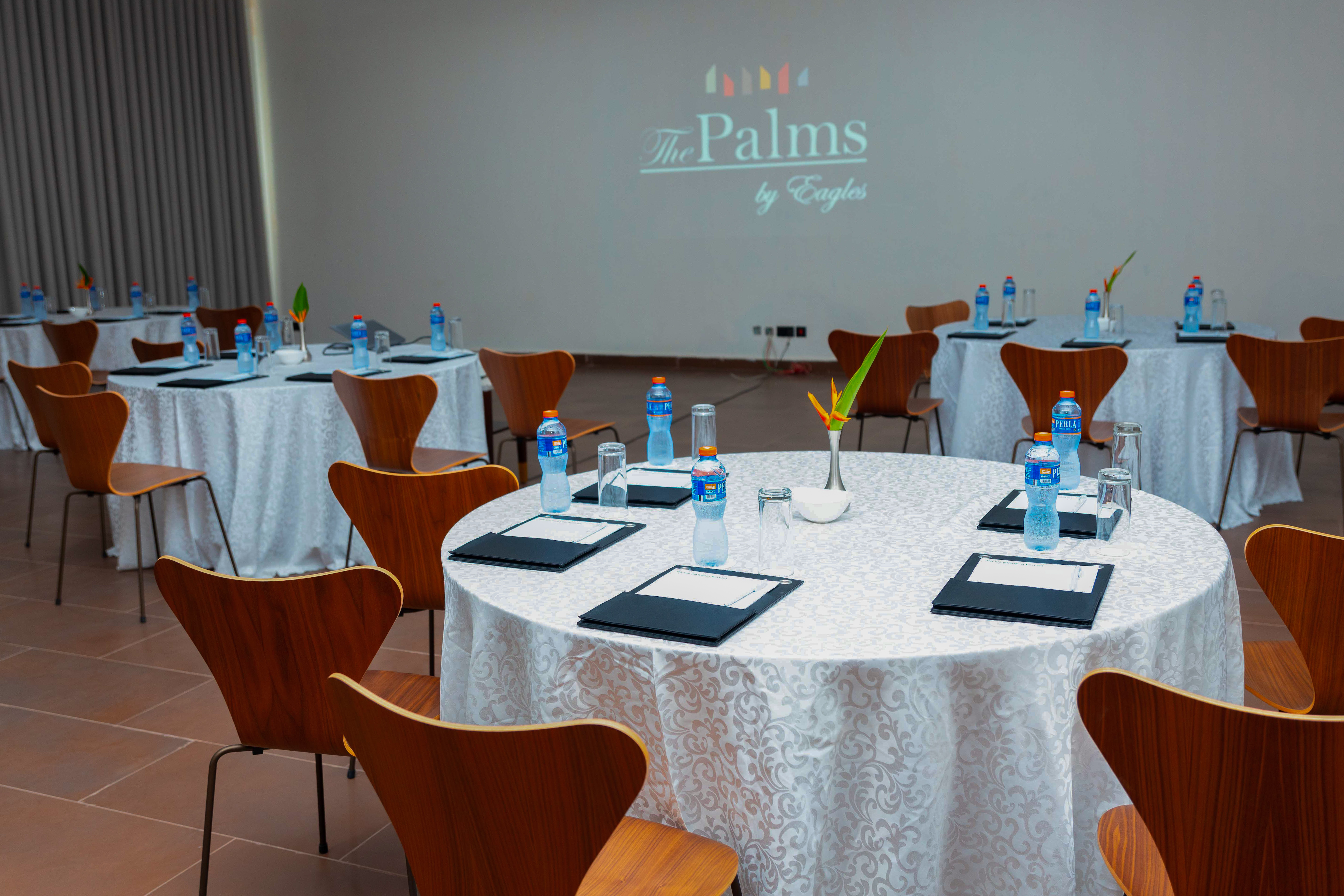 Palms 5